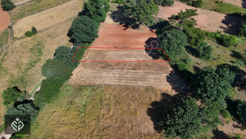 Muğla Kıran'da 329 M2 Satılık Tarla — fotoğraf 4