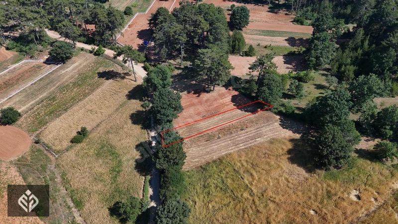 Muğla Kıran'da 329 M2 Satılık Tarla — fotoğraf 5