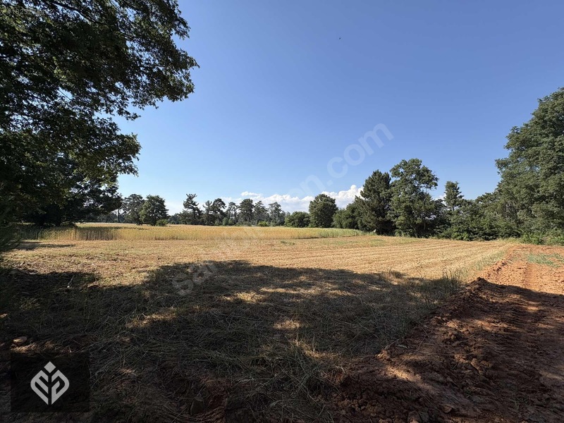 Muğla Kıran'da 329 M2 Satılık Tarla — fotoğraf 7