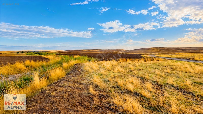 Gölbaşı İkizcede | 5 Dönüm Tek Tapu Arazi — fotoğraf 10