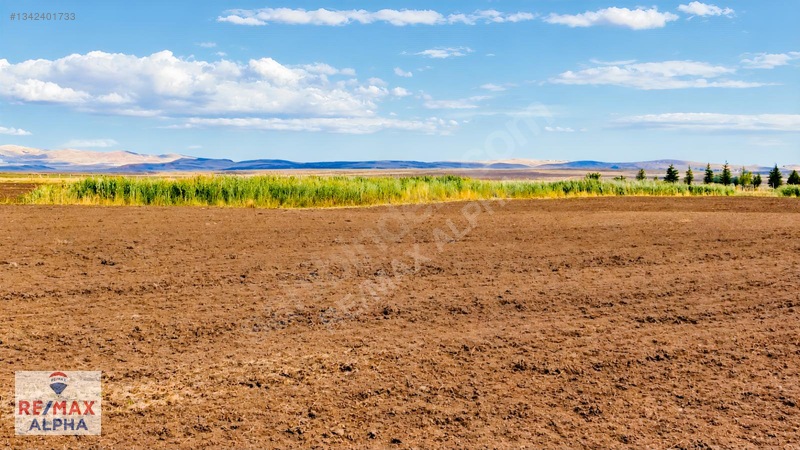 Gölbaşı İkizcede | 5 Dönüm Tek Tapu Arazi — fotoğraf 11