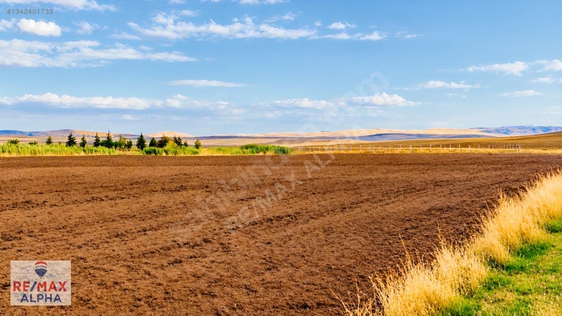 Gölbaşı İkizcede | 5 Dönüm Tek Tapu Arazi — fotoğraf 12