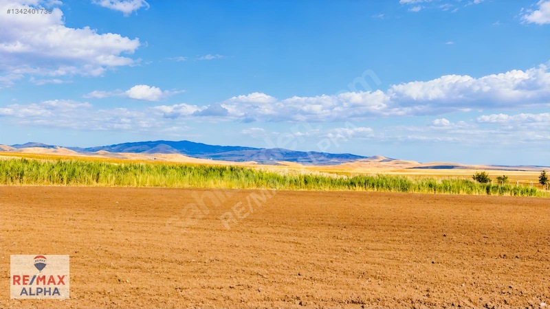 Gölbaşı İkizcede | 5 Dönüm Tek Tapu Arazi — fotoğraf 13