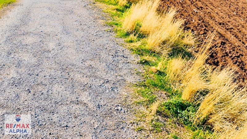 Gölbaşı İkizcede | 5 Dönüm Tek Tapu Arazi — fotoğraf 14