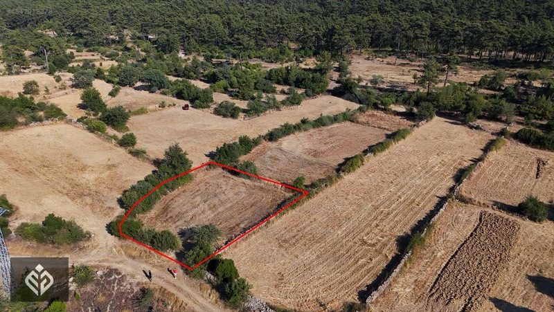 Muğla Kıran'da Satılık 949 M2 Satılık Tarla — fotoğraf 2