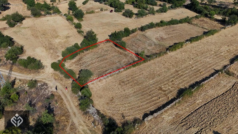 Muğla Kıran'da Satılık 949 M2 Satılık Tarla — fotoğraf 3