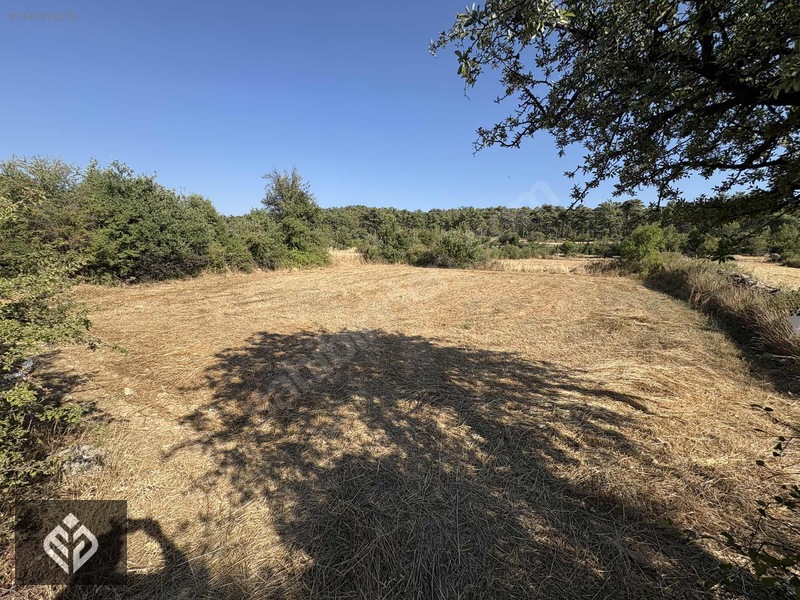Muğla Kıran'da Satılık 949 M2 Satılık Tarla — fotoğraf 5