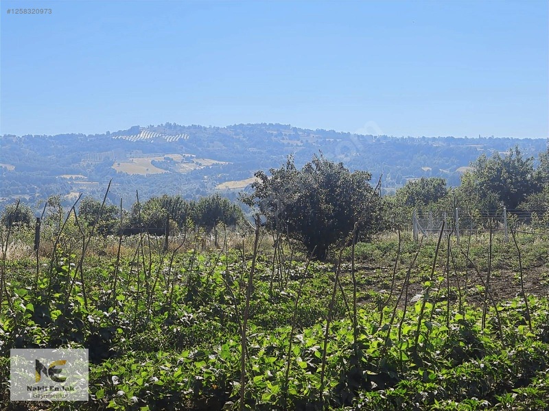Gündüzlü'de İmarlı Arsa Yanyana 2.5 Kat 250m2 İmar Mevcut — fotoğraf 13