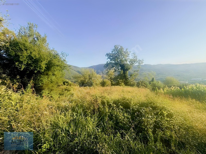 , Ana Yola Cephe Satılık Hobi Bahçesi — fotoğraf 2