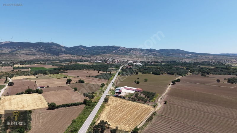 Bergama Göçbeyli Asfaltı Üzerinde Satılık Bağ Ve Zeytinli Tarla