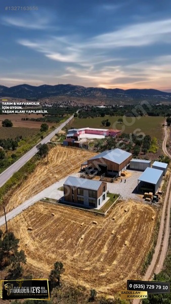 Bergama Göçbeyli Asfaltı Üzerinde Satılık Bağ Ve Zeytinli Tarla — fotoğraf 10