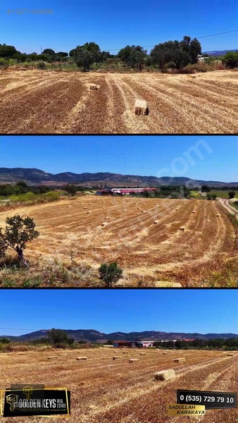 Bergama Göçbeyli Asfaltı Üzerinde Satılık Bağ Ve Zeytinli Tarla — fotoğraf 15