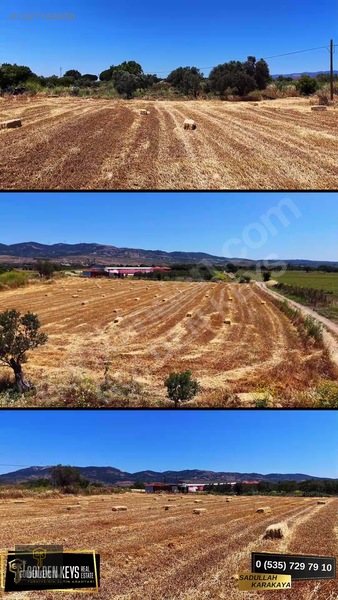 Bergama Göçbeyli Asfaltı Üzerinde Satılık Bağ Ve Zeytinli Tarla — fotoğraf 16