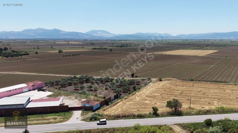 Bergama Göçbeyli Asfaltı Üzerinde Satılık Bağ Ve Zeytinli Tarla — fotoğraf 31