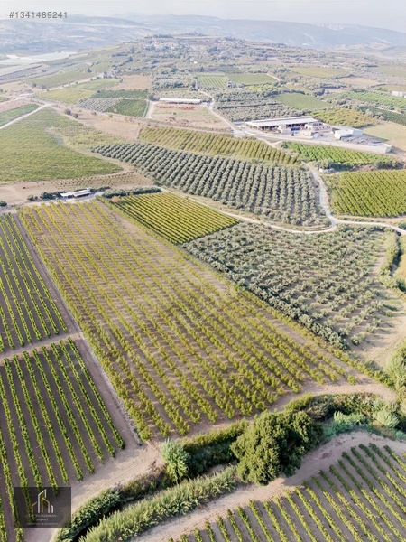 Tepeköy Mh. 13.240M2 Nektari Bahçesi Satılık Tek Tapu Yolu Açık