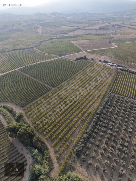 Tepeköy Mh. 13.240m2 Nektari Bahçesi Satılık Tek Tapu Yolu Açık — fotoğraf 4