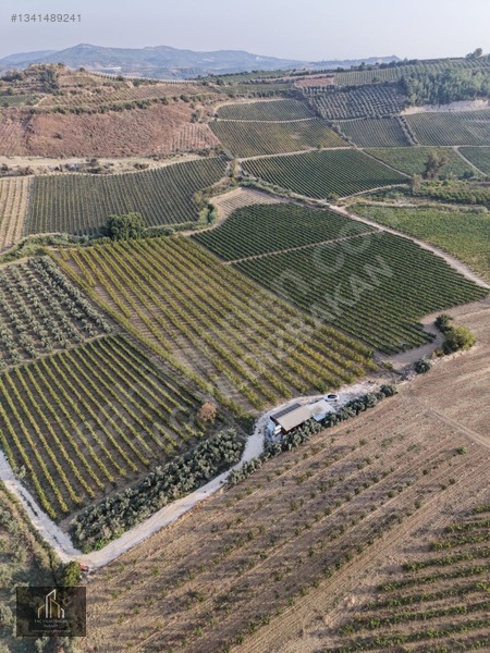 Tepeköy Mh. 13.240m2 Nektari Bahçesi Satılık Tek Tapu Yolu Açık — fotoğraf 5