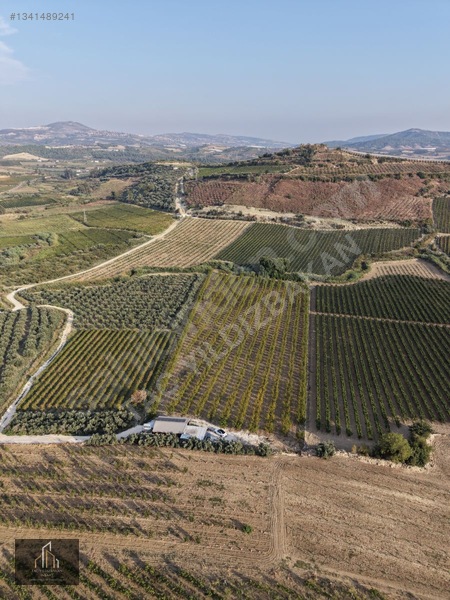 Tepeköy Mh. 13.240m2 Nektari Bahçesi Satılık Tek Tapu Yolu Açık — fotoğraf 6