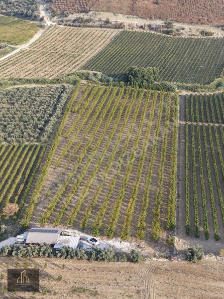Tepeköy Mh. 13.240m2 Nektari Bahçesi Satılık Tek Tapu Yolu Açık — fotoğraf 7