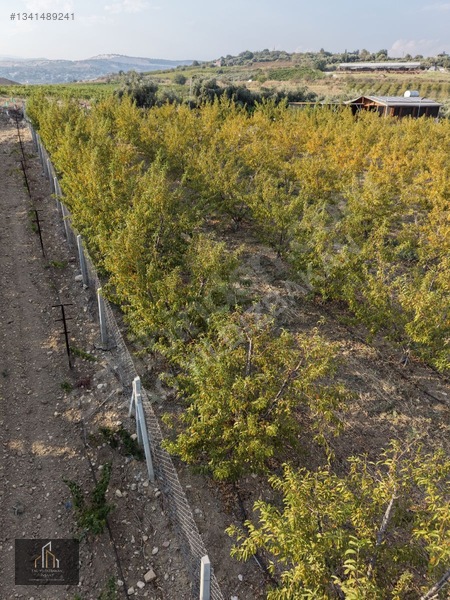 Tepeköy Mh. 13.240m2 Nektari Bahçesi Satılık Tek Tapu Yolu Açık — fotoğraf 9