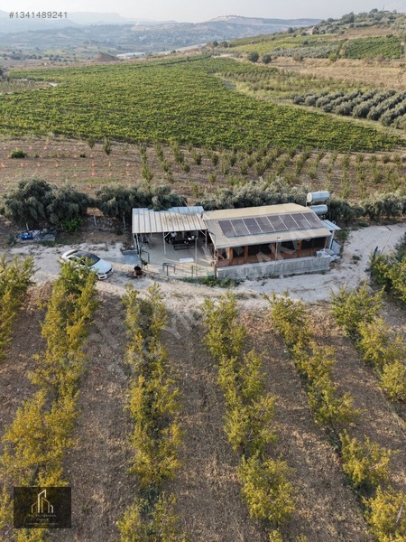 Tepeköy Mh. 13.240m2 Nektari Bahçesi Satılık Tek Tapu Yolu Açık — fotoğraf 12