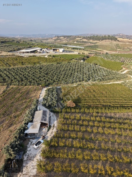 Tepeköy Mh. 13.240m2 Nektari Bahçesi Satılık Tek Tapu Yolu Açık — fotoğraf 13