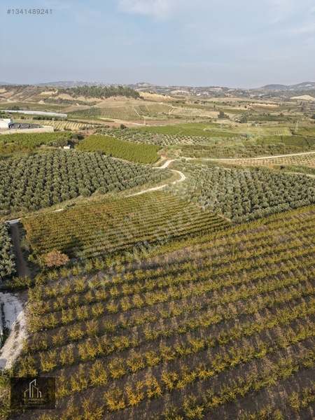 Tepeköy Mh. 13.240m2 Nektari Bahçesi Satılık Tek Tapu Yolu Açık — fotoğraf 14