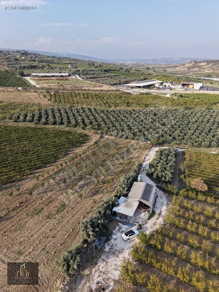 Tepeköy Mh. 13.240m2 Nektari Bahçesi Satılık Tek Tapu Yolu Açık — fotoğraf 15