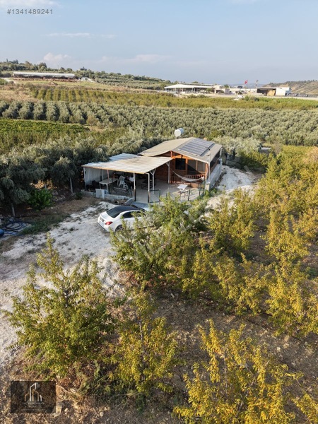 Tepeköy Mh. 13.240m2 Nektari Bahçesi Satılık Tek Tapu Yolu Açık — fotoğraf 16