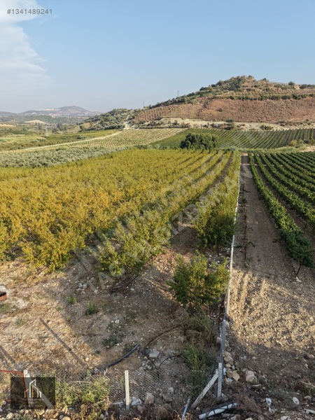 Tepeköy Mh. 13.240m2 Nektari Bahçesi Satılık Tek Tapu Yolu Açık — fotoğraf 18