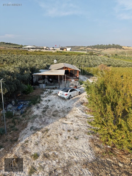 Tepeköy Mh. 13.240m2 Nektari Bahçesi Satılık Tek Tapu Yolu Açık — fotoğraf 19
