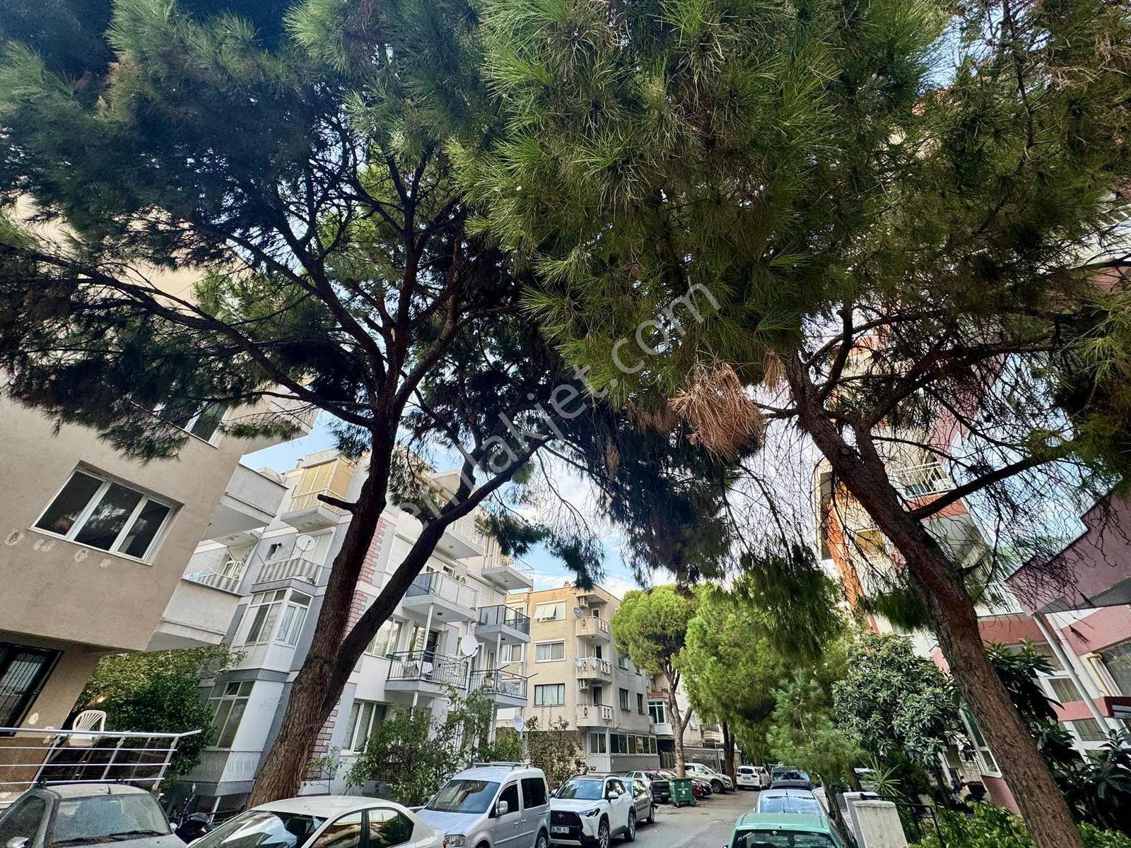 Msg'den Basın Sitesinin En Nezih Sokağında Arakat & Geniş 3+1 — fotoğraf 2