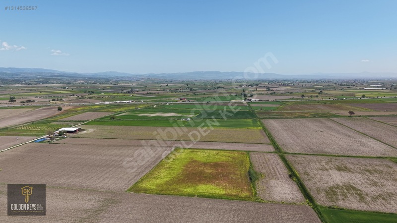 Bergama Koyun Köprü Mevkii 11.488 M.kare Satılık Tarla — fotoğraf 2