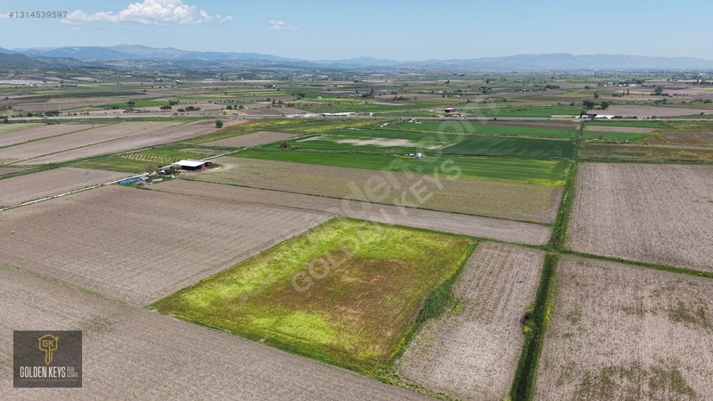 Bergama Koyun Köprü Mevkii 11.488 M.kare Satılık Tarla — fotoğraf 3