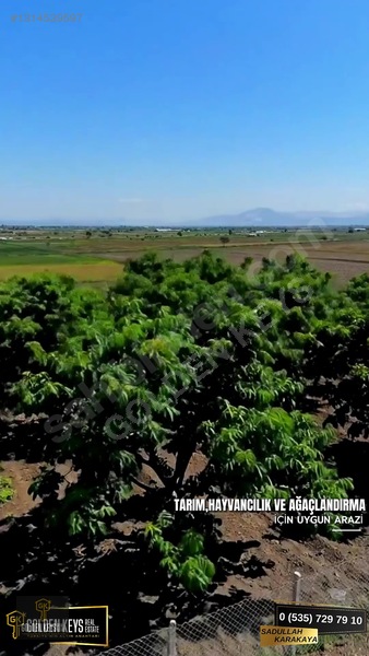 Bergama Koyun Köprü Mevkii 11.488 M.kare Satılık Tarla — fotoğraf 4