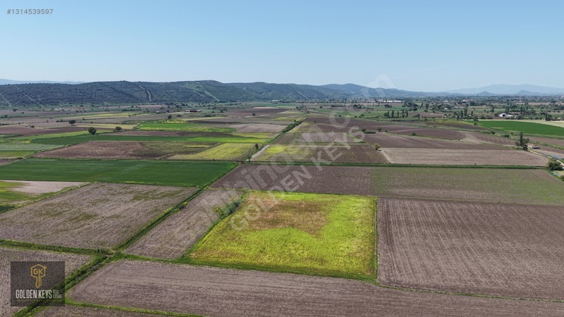 Bergama Koyun Köprü Mevkii 11.488 M.kare Satılık Tarla — fotoğraf 23