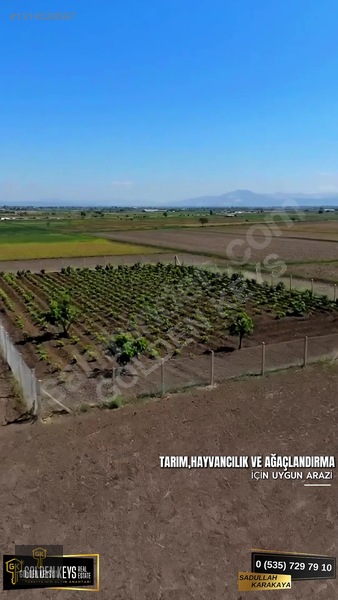 Bergama Koyun Köprü Mevkii 11.488 M.kare Satılık Tarla — fotoğraf 27