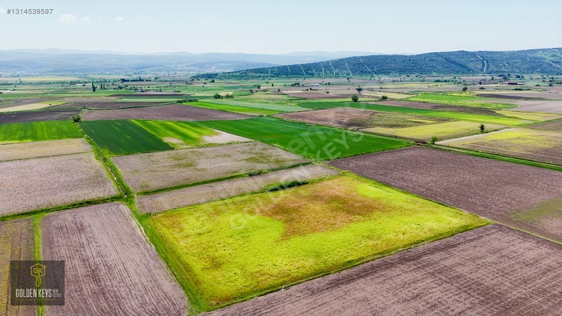 Bergama Koyun Köprü Mevkii 11.488 M.kare Satılık Tarla — fotoğraf 30
