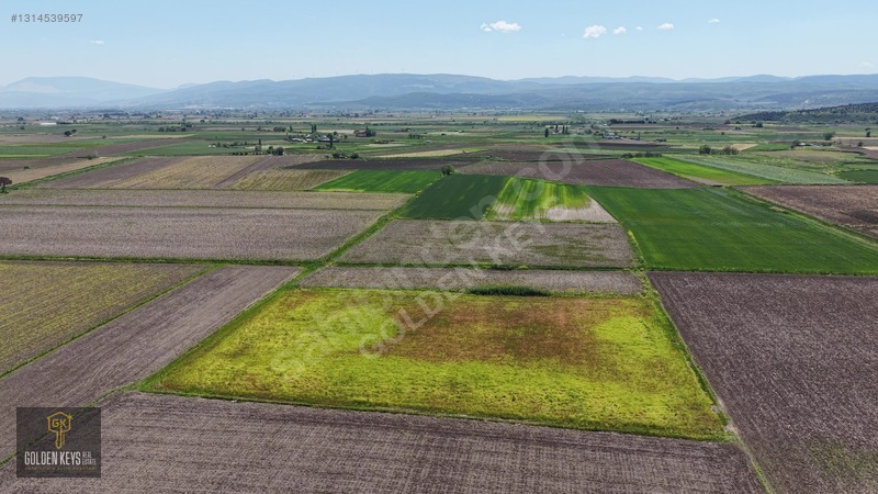 Bergama Koyun Köprü Mevkii 11.488 M.kare Satılık Tarla — fotoğraf 31