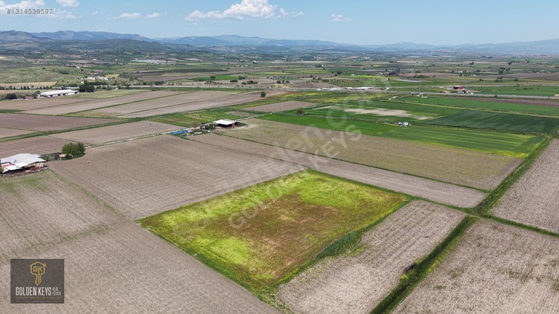 Bergama Koyun Köprü Mevkii 11.488 M.kare Satılık Tarla — fotoğraf 32