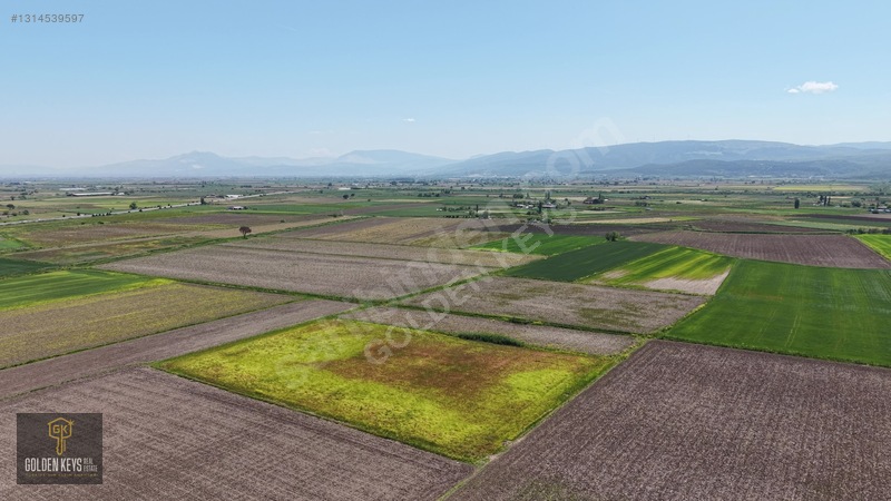 Bergama Koyun Köprü Mevkii 11.488 M.kare Satılık Tarla — fotoğraf 34