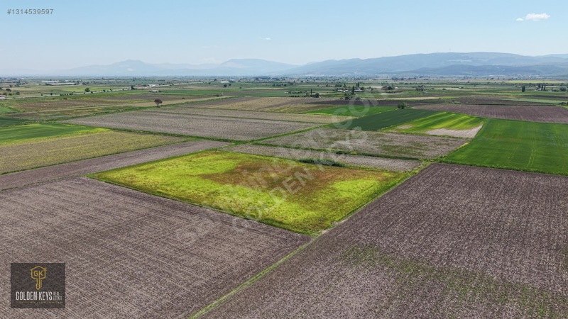 Bergama Koyun Köprü Mevkii 11.488 M.kare Satılık Tarla — fotoğraf 35
