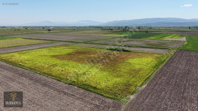 Bergama Koyun Köprü Mevkii 11.488 M.kare Satılık Tarla — fotoğraf 36
