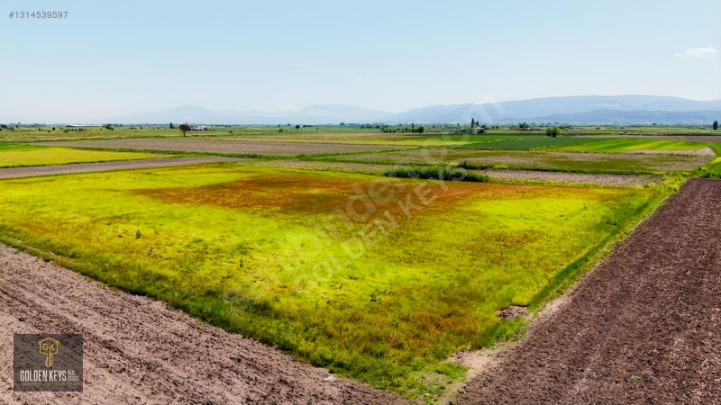 Bergama Koyun Köprü Mevkii 11.488 M.kare Satılık Tarla — fotoğraf 37