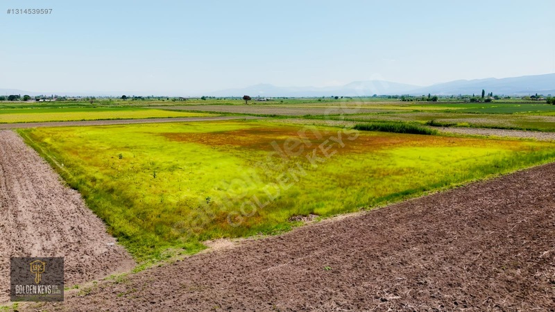 Bergama Koyun Köprü Mevkii 11.488 M.kare Satılık Tarla — fotoğraf 38