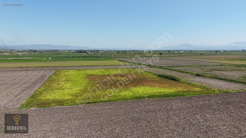 Bergama Koyun Köprü Mevkii 11.488 M.kare Satılık Tarla — fotoğraf 39