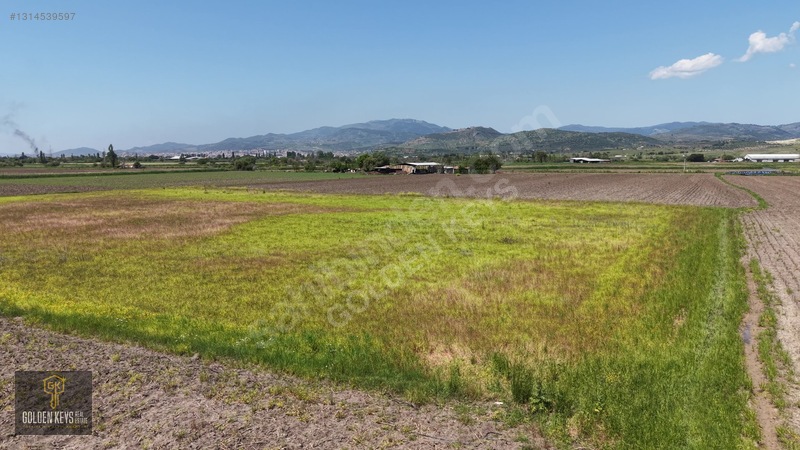 Bergama Koyun Köprü Mevkii 11.488 M.kare Satılık Tarla — fotoğraf 45