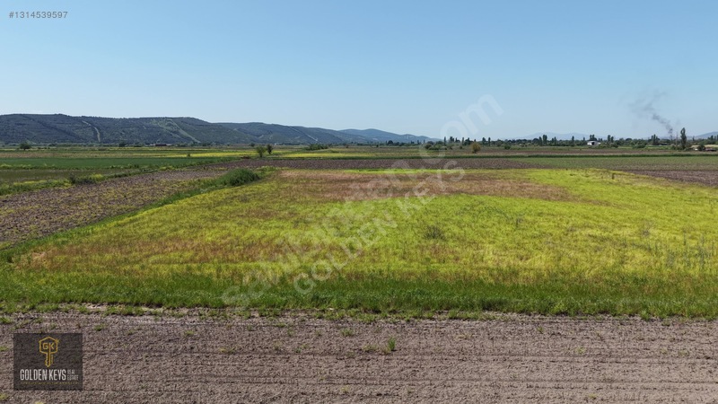 Bergama Koyun Köprü Mevkii 11.488 M.kare Satılık Tarla — fotoğraf 46