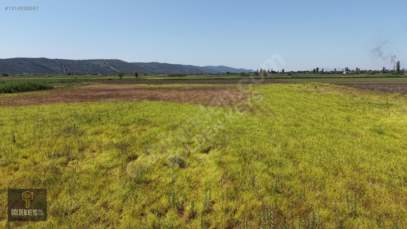 Bergama Koyun Köprü Mevkii 11.488 M.kare Satılık Tarla — fotoğraf 49