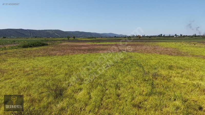 Bergama Koyun Köprü Mevkii 11.488 M.kare Satılık Tarla — fotoğraf 50